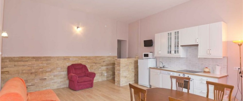 Apartment Vladimirskiy prospekt Sankt-Peterburg - Apt 1969